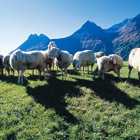 Szálloda First Mountain Oetztal Längenfeld