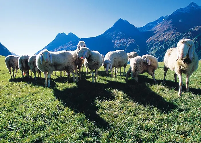 Ξενοδοχείο First Mountain Oetztal Λάνγκενφελντ